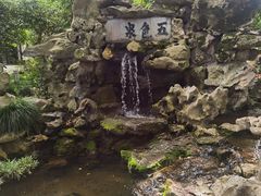 -上海醉白池公园
