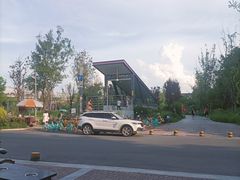 -神仙树公园