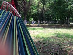 -长白岛森林公园