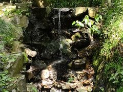 -西湖外事游船(花港观鱼码头)