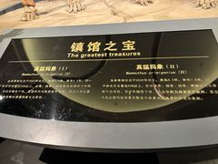 -大庆市博物馆