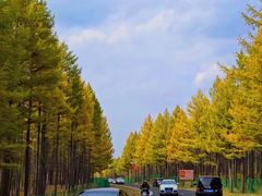 -塞罕坝国家级自然保护区