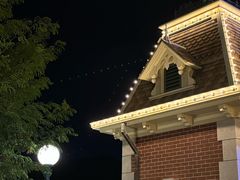 -巴黎迪士尼乐园