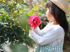 -人民公园(罗湖区)