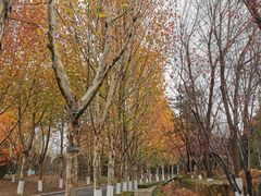 -春晖园度假酒店温泉