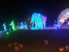 -清迈夜间动物园