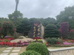 -飞凤山奥体公园