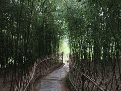 -竹子庵公园