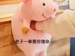 -毛小子西昌藿香火盆烧烤(学苑路店)