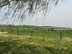 -西青郊野公园