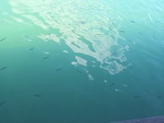 -海驴岛(荣成市)