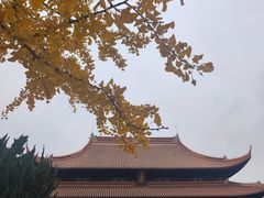 -苏州文庙(姑苏区)