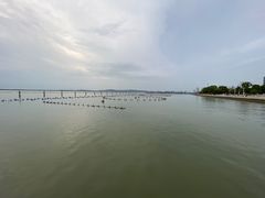 -苏州湾体育公园