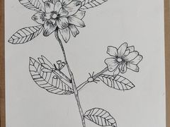 -杨梅红艺术教育(凤城教学中心)