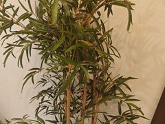 -徽镇小厨·经典徽菜(十里河店)
