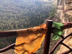 -芦芽山旅游度假区