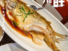 -大中华酒楼·主席武昌鱼·武汉美食地标(江汉路步行街店)