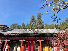 -宫事颐庭·老佛爷贵寿下午茶(颐和园店)