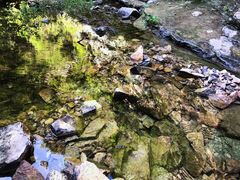 -龙洞风景区-藏龙涧