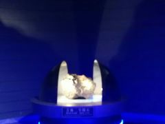 -吉林市博物馆