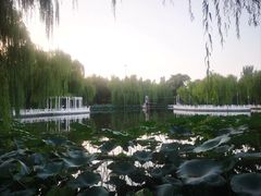 -丰台花园
