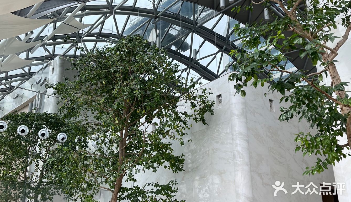 尽显建筑之美｜Intercontinental 重庆洲际