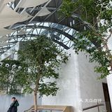 尽显建筑之美｜Intercontinental 重庆洲际