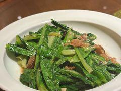 油麦菜-北方家宴(优托邦科学大道店)