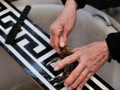 -水岸居湖景农家乐·阳澄湖大闸蟹