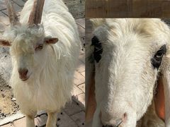 -水上乐园·欢乐世界