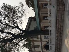 -北京动物园-畅观楼