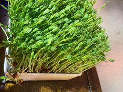 -重庆高老九火锅(昆山万象汇店)