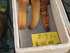 -黄沙水产交易市场