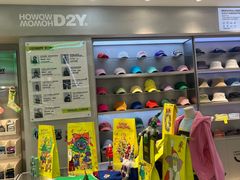 -HOWOW·D2Y(柏威年店)