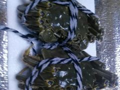 -乡乐园蟹庄·阳澄湖农家乐