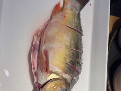 -营信刘罗锅铁锅炖(民主店)