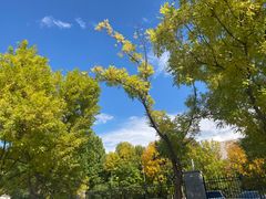 -中央戏剧学院(昌平校区)