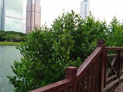 -万绿园