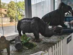 -中国第四纪冰川遗迹陈列馆
