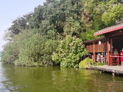 -西湖游船