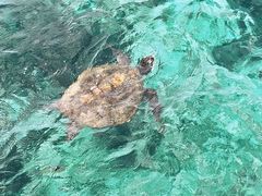 -卡帕莱度假村(西巴丹岛)