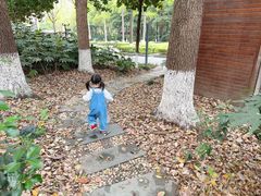 -苏州河梦清园环保主题公园