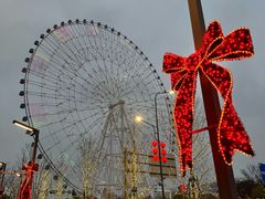 -南昌之星摩天轮