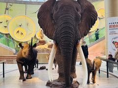 -陕西自然博物馆