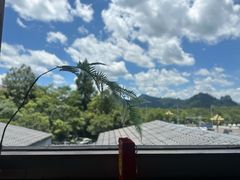 -宴武夷·匠心闽味(印象大红袍店)