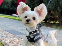 -纳吉亚猫专科动物诊疗中心(蒋宅口分院)