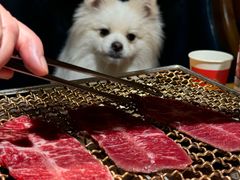 -九田家黑牛烤肉料理(华侨城店)