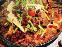 -老板恋上鱼(环山路店)