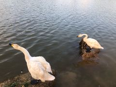 -艾溪湖湿地公园