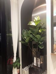 点击看大图 -Garden花園造型